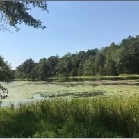 311 Acres in Chickasaw County in Houlka MS images 1