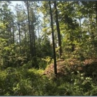 311 Acres in Chickasaw County in Houlka MS images 2