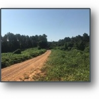 311 Acres in Chickasaw County in Houlka MS images 3
