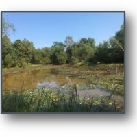 311 Acres in Chickasaw County in Houlka MS images 4