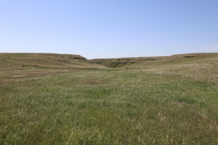 Cheyenne County CRP Pasture featured image