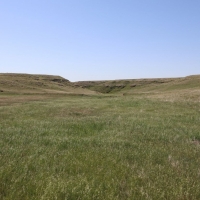Cheyenne County CRP Pasture
