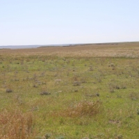 Cheyenne County CRP Pasture images 2