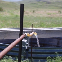 Cheyenne County CRP Pasture images 3