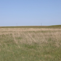 Cheyenne County CRP Pasture images 5