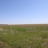Cheyenne County CRP Pasture images 6