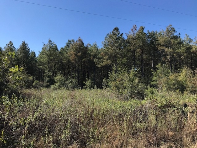 LA - Morehouse CMC Holding LLC 76 acres - featured image