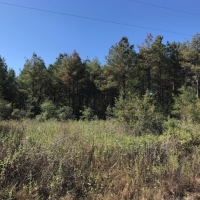 LA - Morehouse CMC Holding LLC 76 acres -