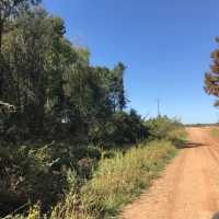 LA - Morehouse CMC Holding LLC 76 acres - images 3