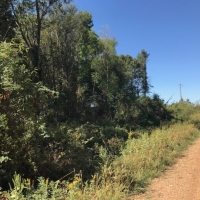 LA - Morehouse CMC Holding LLC 76 acres - images 5