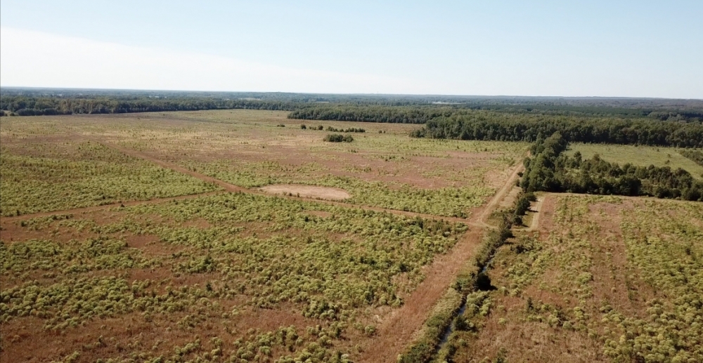AR - White Poland 1019 acres - featured image