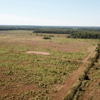 AR - White Poland 1019 acres -