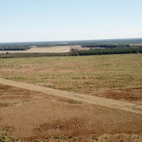 AR - White Poland 1019 acres - images 2