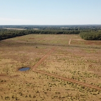 AR - White Poland 1019 acres - images 3