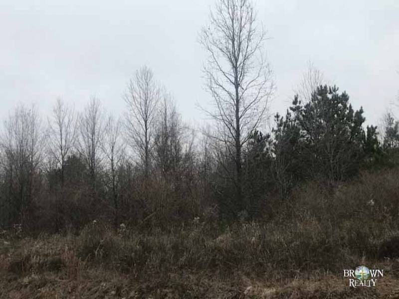 LA - West Carroll Vickery 120 acres - featured image