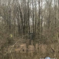 LA - West Carroll Vickery 120 acres - images 3