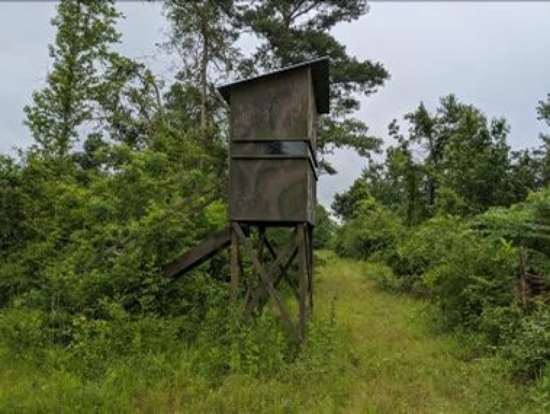 40 Acres in Jefferson Davis County in Prentiss MS Hunting Land for