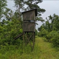 40 Acres in Jefferson Davis County in Prentiss MS