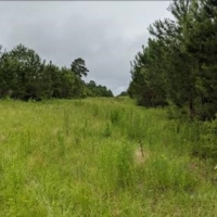 40 Acres in Jefferson Davis County in Prentiss MS images 2