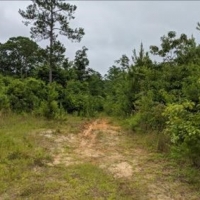 40 Acres in Jefferson Davis County in Prentiss MS images 4