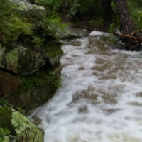 KS - Chatauqua Morton 240 acres - images 5