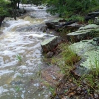 KS - Chatauqua Morton 240 acres - images 6