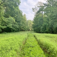Rivers Run Ranch 765 Acres Hunting Timberland for Sale SW MS