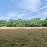 Rivers Run Ranch 765 Acres Hunting Timberland for Sale SW MS images 2