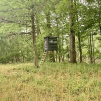 Rivers Run Ranch 765 Acres Hunting Timberland for Sale SW MS images 3