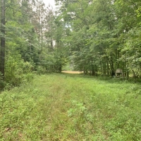 Rivers Run Ranch 765 Acres Hunting Timberland for Sale SW MS images 5