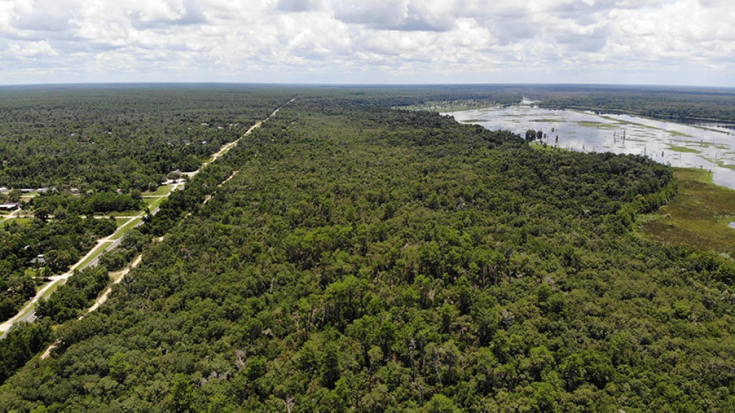 Ocklawaha River Preserve Parcel 12 Hunting Land for Sale