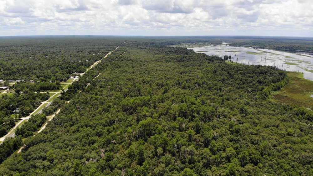 Ocklawaha River Preserve - Parcel 12 featured image
