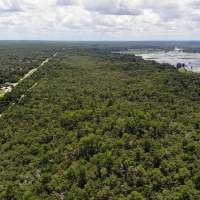 Ocklawaha River Preserve - Parcel 12