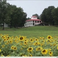 ARKANSAS LUXURY HUNTING RANCH FOR SALE images 6
