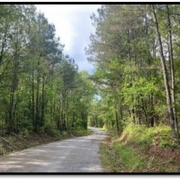 103.5 Acres in Lafayette County in Water Valley MS images 3