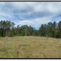 103.5 Acres in Lafayette County in Water Valley MS images 6