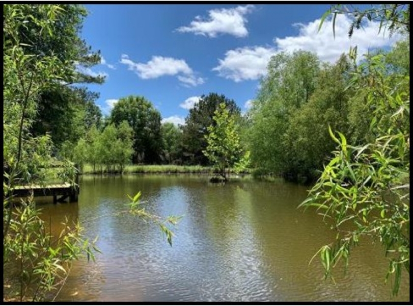 106 Acres in Panola County in Courtland MS Hunting Land for Sale