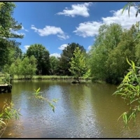 106 Acres in Panola County in Courtland MS