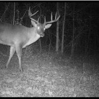 106 Acres in Panola County in Courtland MS images 3