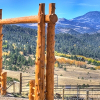 Circle E Ranch