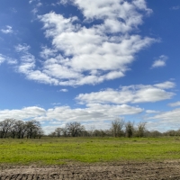 16 Acres Tract 5 Mustang Oaks images 5