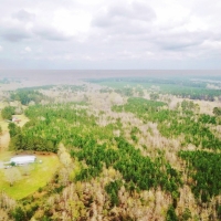 32 Acres Hunting Land Homesite for Sale in SW MS images 2