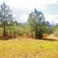 32 Acres Hunting Land Homesite for Sale in SW MS images 4
