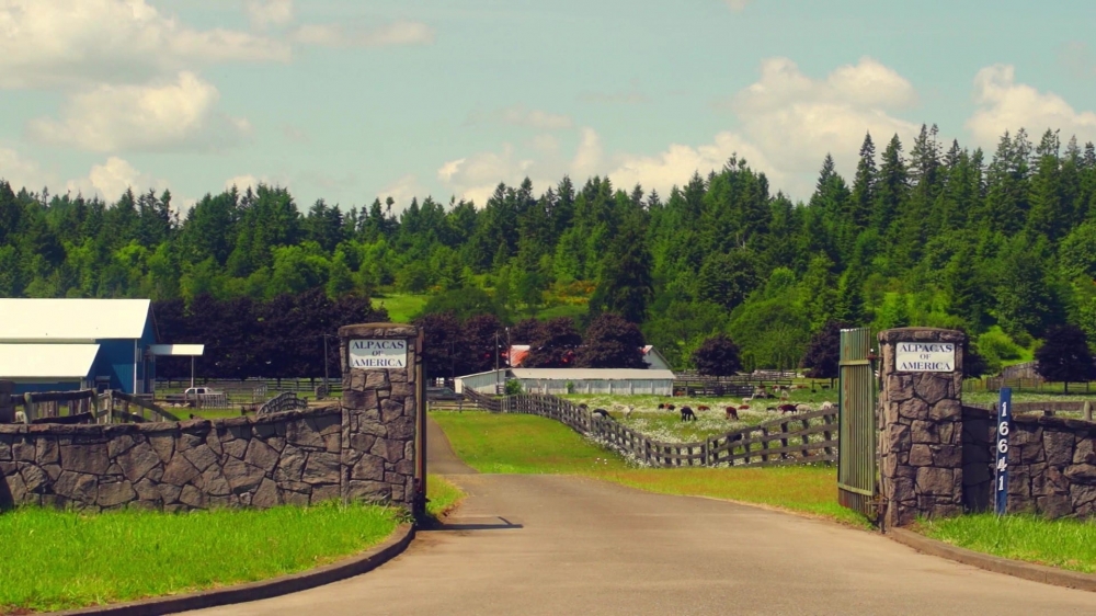Tenino Equine Center featured image