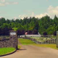 Tenino Equine Center
