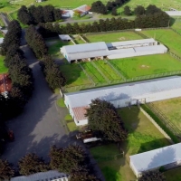 Tenino Equine Center images 3