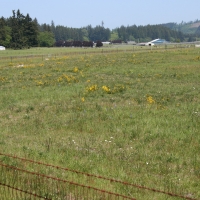 T90 Cattle Ranch