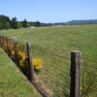 T90 Cattle Ranch images 3