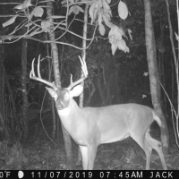 2 Mi. of River Frontage w Big Bucks