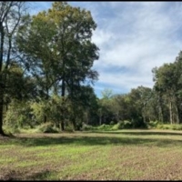 One Equity Share of Smith Point LLC in Bolivar County MS images 4